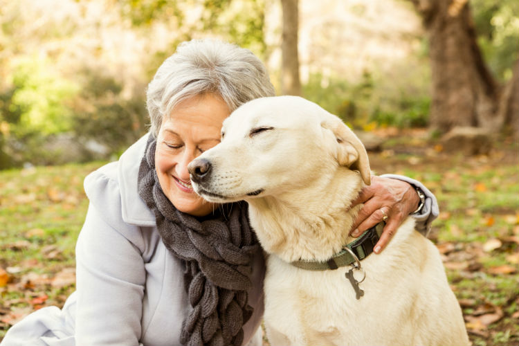 Benefits of Pets for Older Adults | Animal Companionship for Seniors