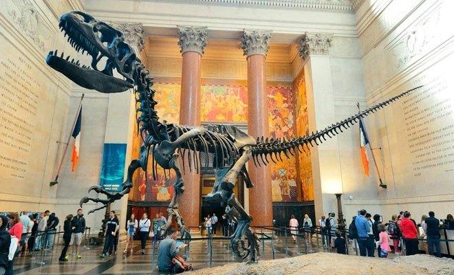 Museum