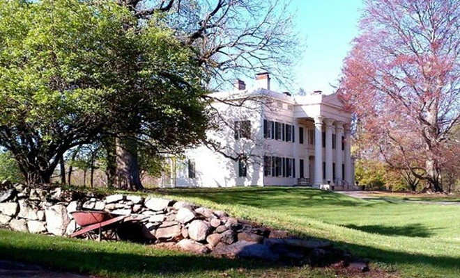 Outdoor garden