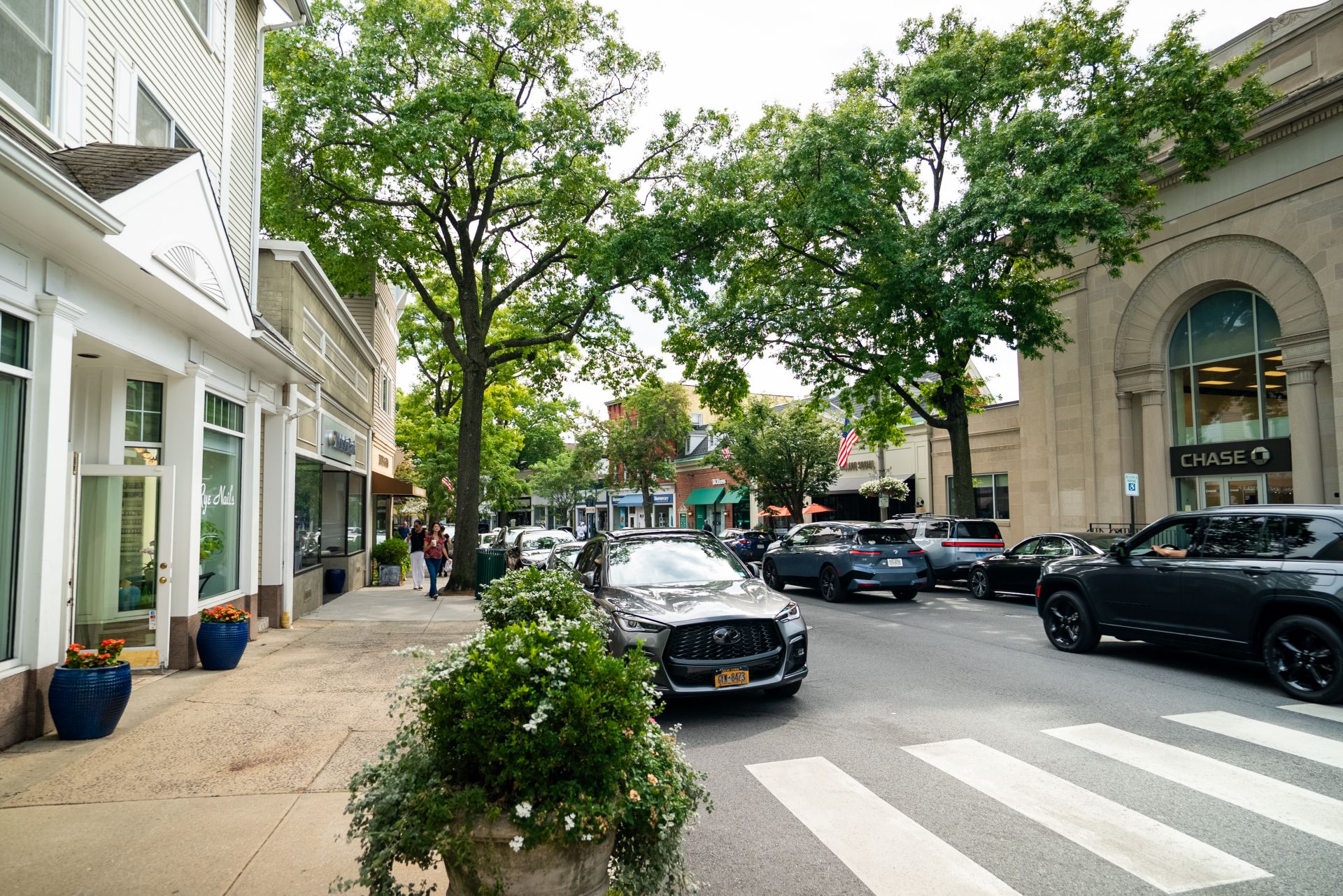 Trees line the main avenue in Rye, New York, a town in Westchester County